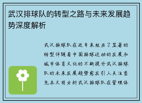 武汉排球队的转型之路与未来发展趋势深度解析